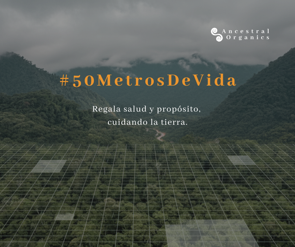 Caja #50MetrosDeVida | Regala alimentos reales. Regenera 50 m² de vida.