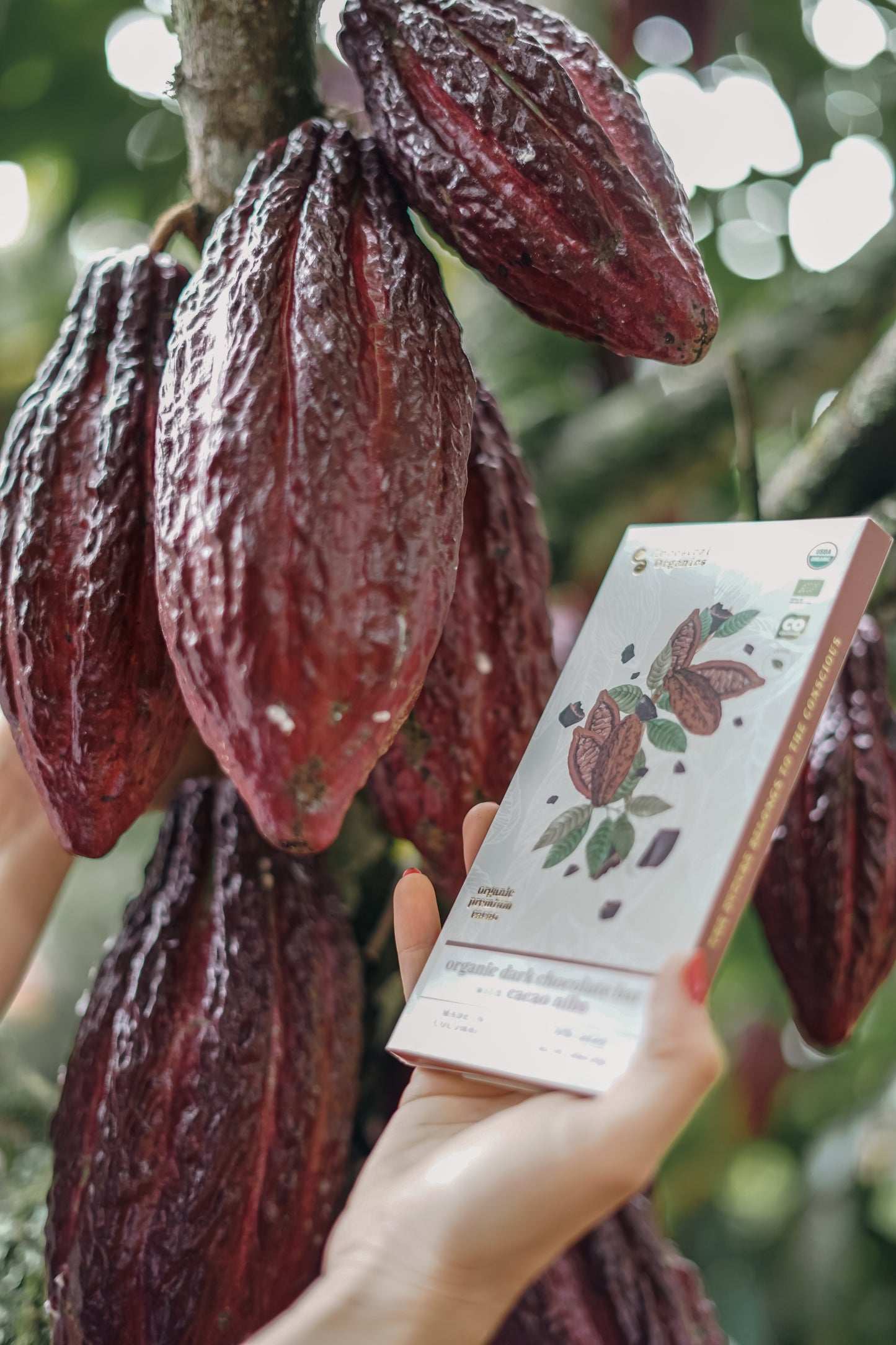 Barra de Chocolate Orgánico 75% Cacao | 2 Ingredientes · Cacao Real · Antioxidante Natural · Vegana y Libre de Gluten