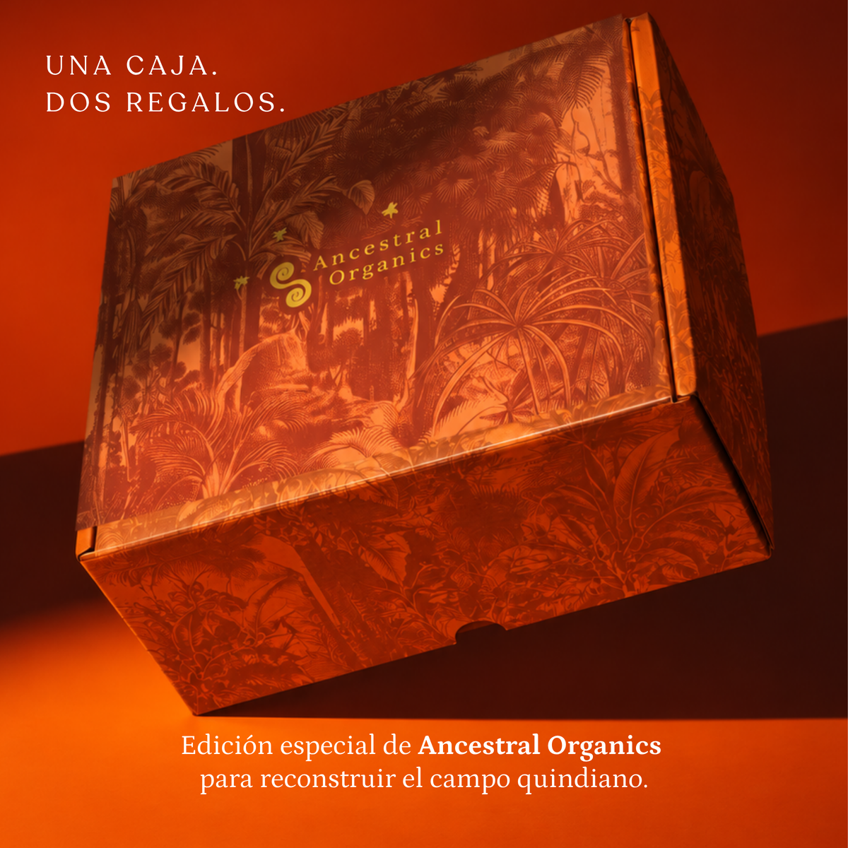 Caja Nido | Una caja. Dos regalos.