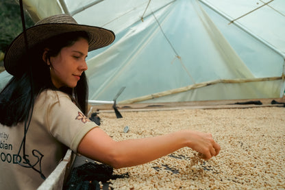 Café Orgánico Castillo Lavado 250 g | Tostión Media · Notas a Chocolate Dulce, Panela, Almendra y Limón