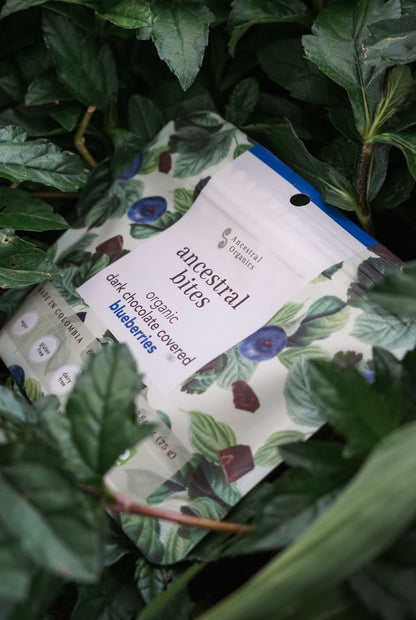 Bites de Arándanos con Chocolate Oscuro 60% | Snack Orgánico · Antioxidante · Sin Gluten ni Lácteos · 75g