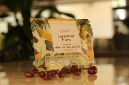 Bites de Banano con Chocolate Oscuro 60% | Snack Orgánico · Energía Natural · Sin Gluten ni Lácteos · 75g